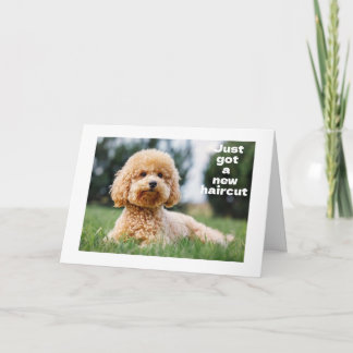 Tarjeta EL OSO DE TEDDÍA DULCE dice "FELIZ CUMPLEAÑOS 60"