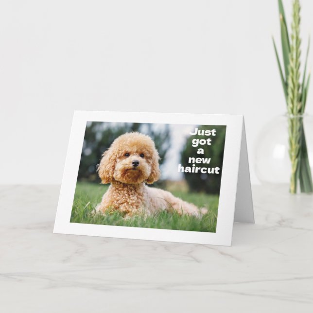 Tarjeta EL OSO DE TEDDÍA DULCE dice "FELIZ CUMPLEAÑOS 60" (Anverso)