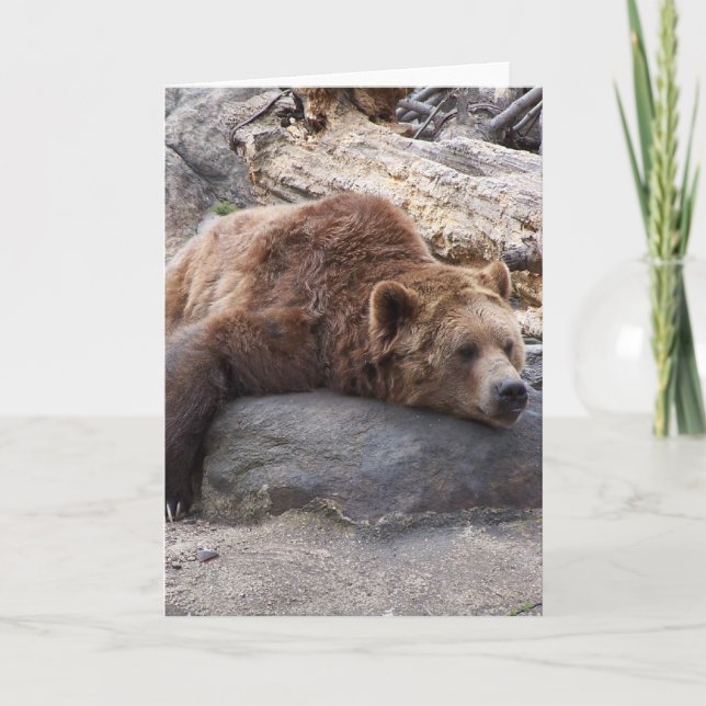 Tarjeta El Oso Grizzly Descansa En La Roca (Anverso)