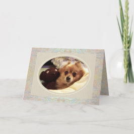 Tarjeta El oso pomerania y Teddy se portan bien