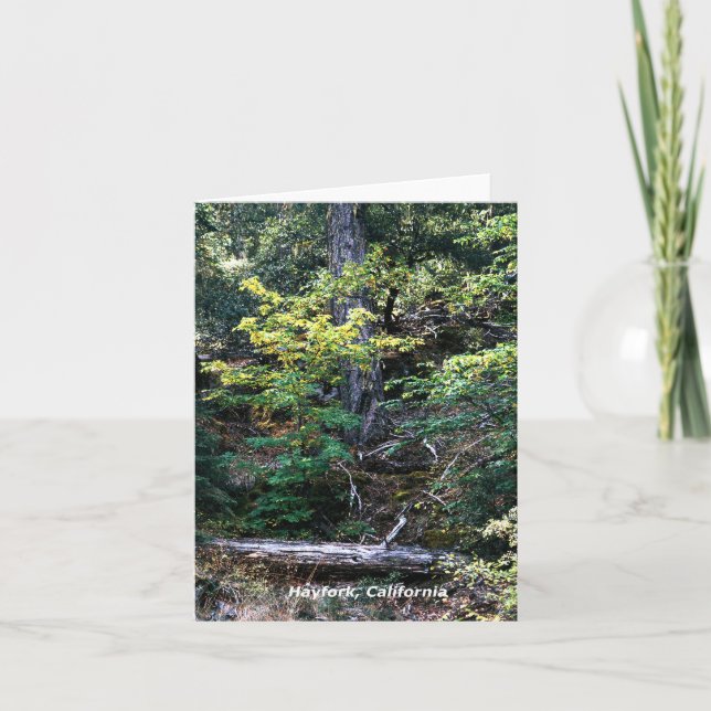 Tarjeta El otoño está aquí......... (Anverso)