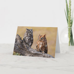 Tarjeta El Ow Roosting de gritos orientales en el árbol