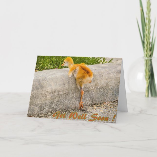 Tarjeta El pájaro de bebé de Sandhill CONSIGUE BIEN PRONTO (Anverso)