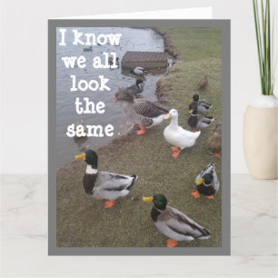 TARJETA ¡¡¡¡EL PATO DICE QUE "TÚ" ESTÁ EN UNA MULTITUD!!!!
