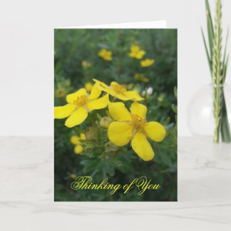 Tarjeta El pensamiento en usted carda