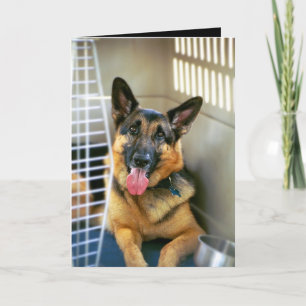 Tarjeta El pensamiento en usted carda