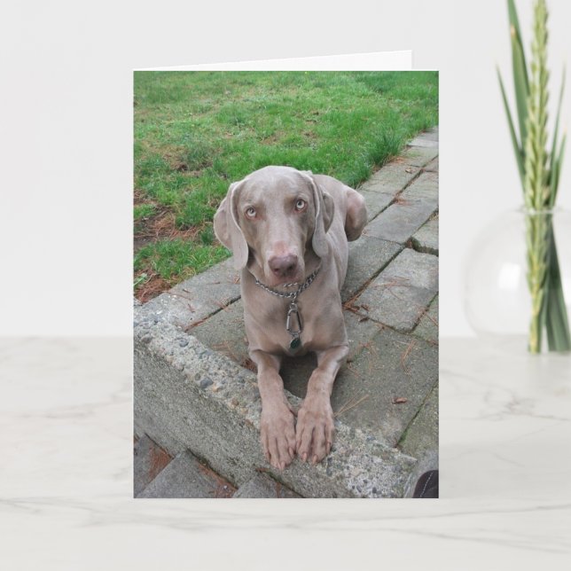 Tarjeta El pensamiento en usted carda (Anverso)