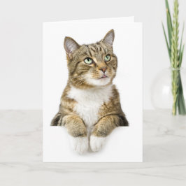 Tarjeta El pensamiento en usted carda