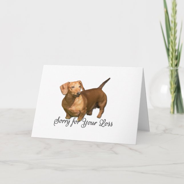 Tarjeta El pequeño Dachshund Rojo lamenta la pérdida de co (Anverso)
