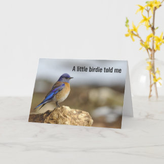 Tarjeta El Pequeño Pájaro Me Dijo: "Ten Cuidado Con Lo Que