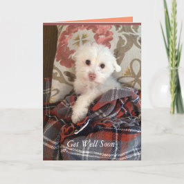 Tarjeta El perrito blanco debajo de una manta consigue