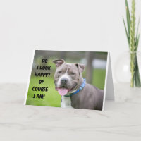 *EL PERRO AGRADABLE TE ENVÍA FELICITACIONES*