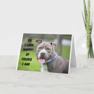 TARJETA *EL PERRO AGRADABLE TE ENVÍA FELICITACIONES*