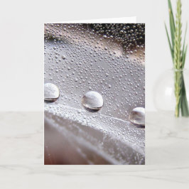 Tarjeta El perro cae historias aisladas en la naturaleza