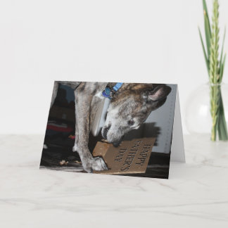Tarjeta El perro come regalos del día del padre (el perro