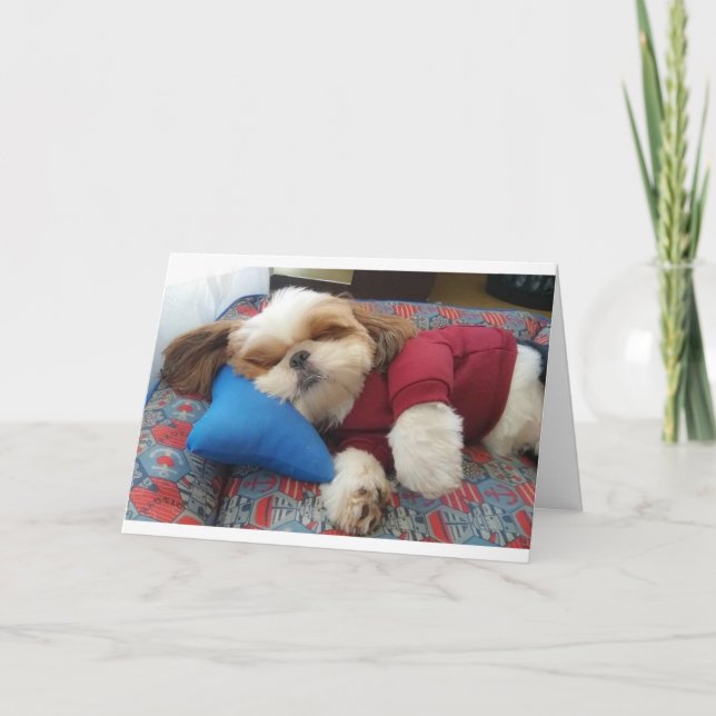 TARJETA EL PERRO COMEDIC DICE QUE HAGA ESTO EL DÍA DE LOS  (Anverso)