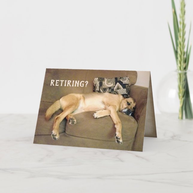 Tarjeta El Perro De La Jubilación En El Sofá (Anverso)