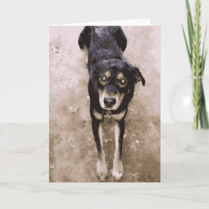 Tarjeta El Perro De La Mugre Y El Oro Que Se Pone En Marró
