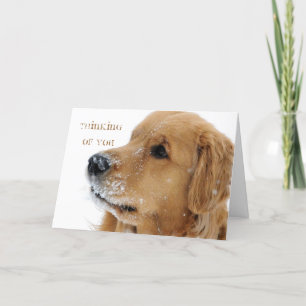 Tarjeta El perro de la nieve de Golden Retriever piensa en