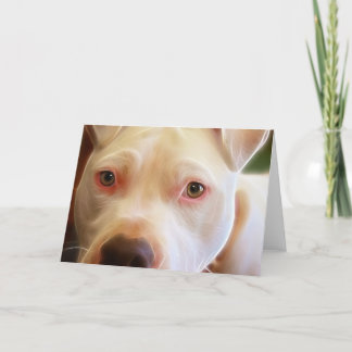 Tarjeta El perro de perrito de Pitbull observa fotografía
