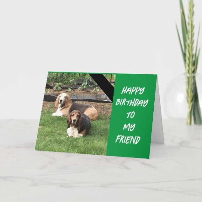TARJETA *EL PERRO DICE SALIR Y CELEBRARTE" (Anverso)