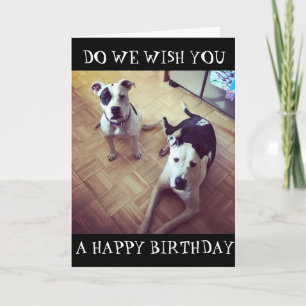 TARJETA *EL PERRO SE HA IDO BIEN* ¡TE QUEREMOS UN CUMPLEAÑ