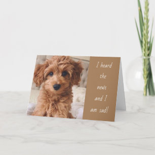 TARJETA ¡EL PERRO SE VOLVIÓ SERIO ACERCA DE TU DESPLAZAMIE