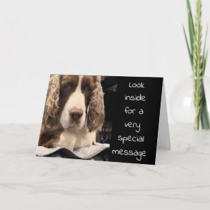 TARJETA EL PERRO SERIO DICE QUE LOS DESEOS DEL CUMPLEAÑOS