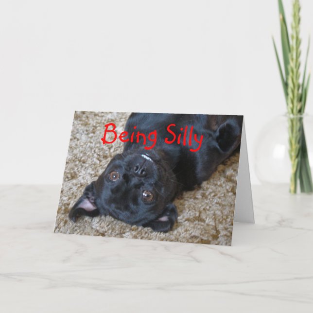 Tarjeta El perro tonto de Buggs, modifica cualquier (Anverso)