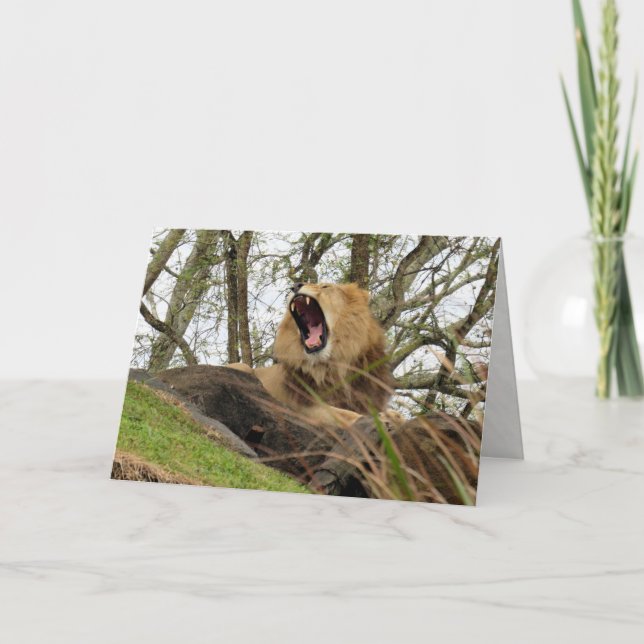 Tarjeta El poderoso león (Anverso)