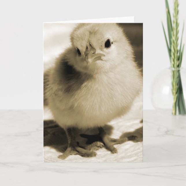 Tarjeta El polluelo de la bota (Anverso)