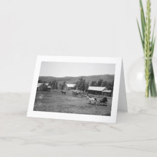 Tarjeta El rancho de Haylie, el condado de Crook, Wyoming,
