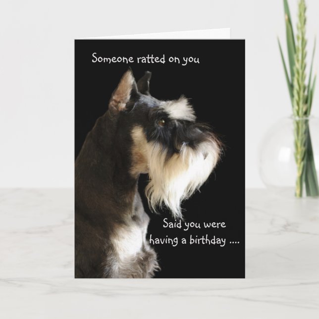 Tarjeta El ratter… (Anverso)