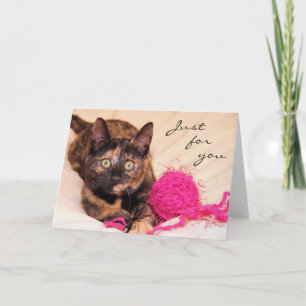 Tarjeta El rescate Tortie del gato de Greyfoot apenas para