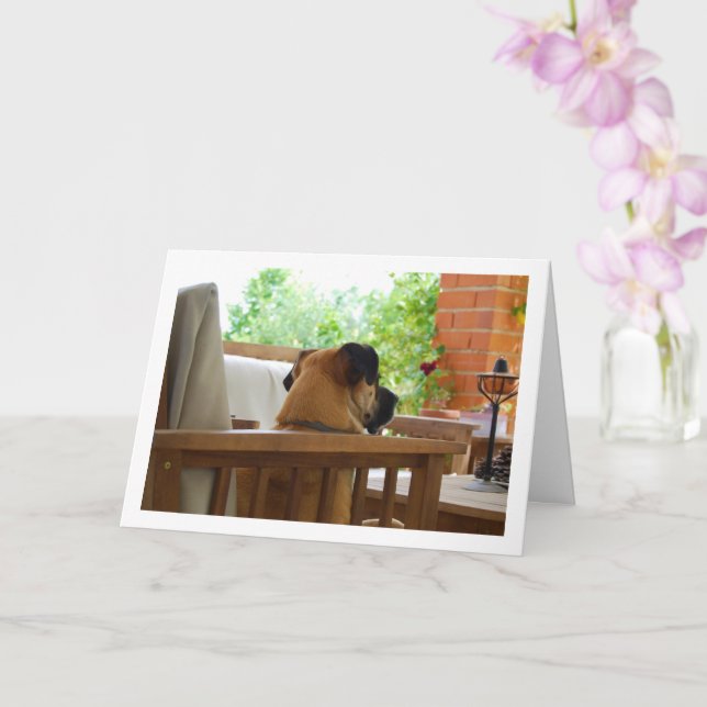Tarjeta El retrato de perro en la silla (Orquídea)