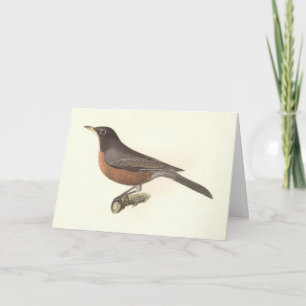 Tarjeta El Robin Americano (Turdus migratorius) Aves de Nu