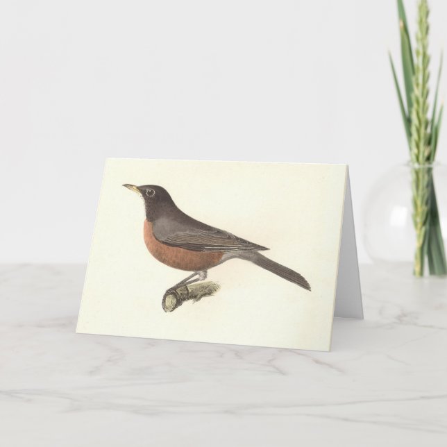 Tarjeta El Robin Americano (Turdus migratorius) Aves de Nu (Anverso)