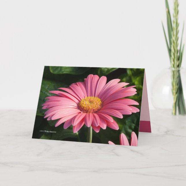 Tarjeta El rosa es para el amor (Anverso)