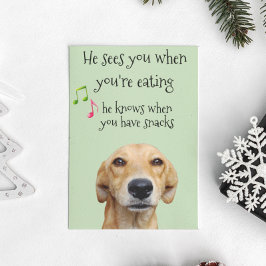 Tarjeta Él sabe cuando tienes Navidades de perros para com
