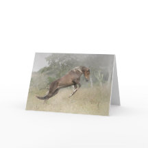 El salto del caballo