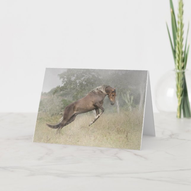 Tarjeta El salto del caballo (Anverso)