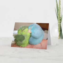 Tarjeta El saludo de los pájaros de amor de pergamino "seg