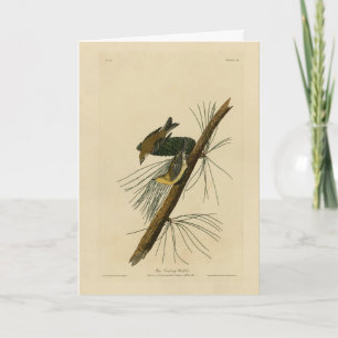 Tarjeta El salvavidas de la pina - Los pájaros de los Esta