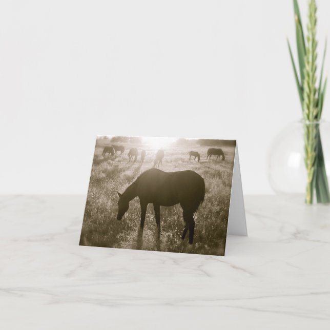 Tarjeta El santuario Notecard del caballo salvaje de Black (Anverso)