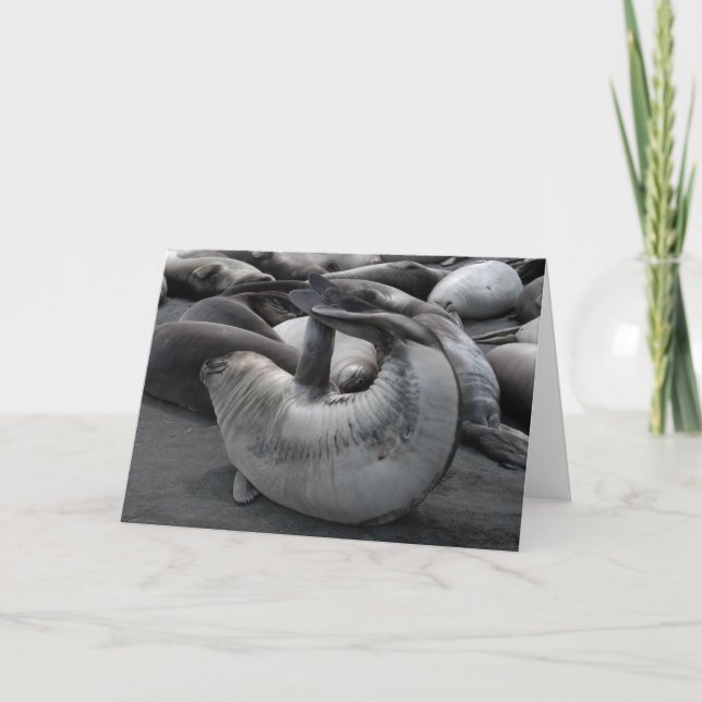 Tarjeta El sello de la sirena (Anverso)