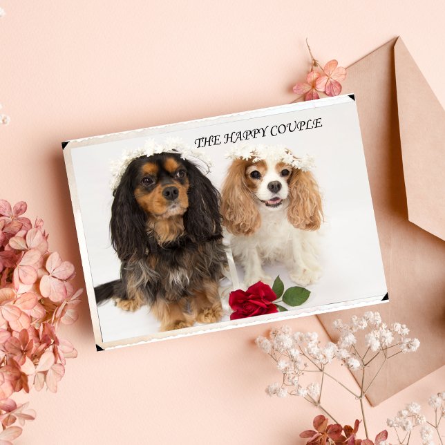 Tarjeta El Spaniel Cavalier King Charles Recién Casado (Subido por el creador)