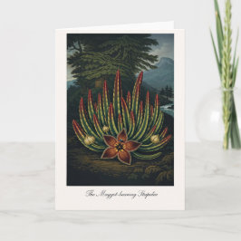 Tarjeta El Stapelia Portador de Gusanos — Rei Botánico Mod