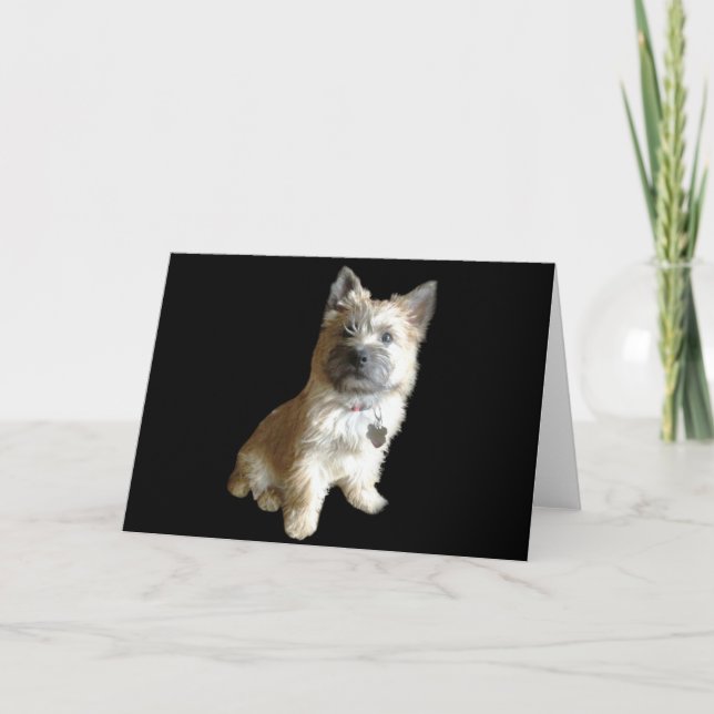 Tarjeta ¡El Terrier De Cairn Más Cuidadoso! ¡Más bonito qu (Anverso)
