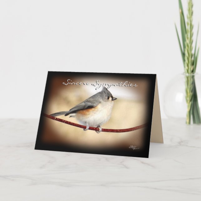 Tarjeta El Titmouse 8903 - modifique cualquier ocasión (Anverso)