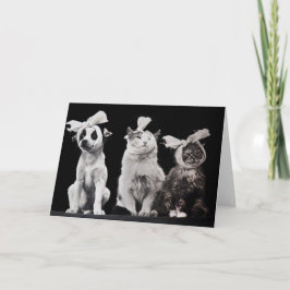 Tarjeta El trío triste, interior en blanco